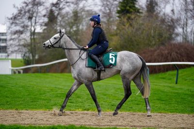 Lossiemouth and Fact To File raise eyebrows after Cheltenham Festival declarations