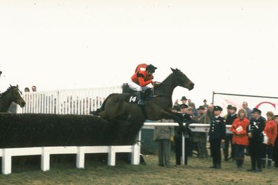 Dawn Run and Jonjo O’Neill, the perfect racing partnership that became Cheltenham Festival legend