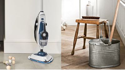 Do I really need a steam cleaner? Or is a mop actually better? We explore which is more hygienic