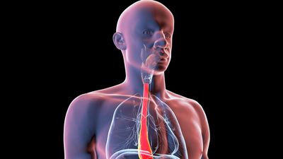 Making a 'digital twin' of yourself could revolutionize future surgeries, making medical procedures much more personal