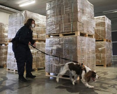 Belgium at risk of becoming ‘narco-state’, judge warns