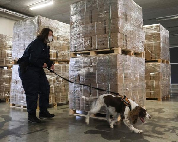 Belgium at risk of becoming ‘narco-state’, judge warns