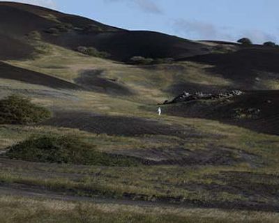 Terraforma review – unhurried portrait of Ascension Island’s human-made nature