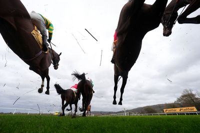 When is the Cheltenham Festival, where can you watch it and who will win it?