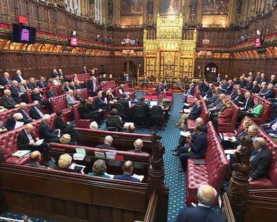 Proposed law does not protect children born to convicted paedophiles, Lords to hear