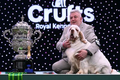 Claudia Winkleman gets hit in the face by Crufts winner in awkward live TV mishap