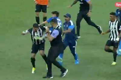 Brazil cup final descends into chaos as 23 players are sent off after mass brawl