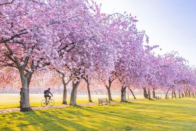 Tell us about your favourite UK spring activity or day out
