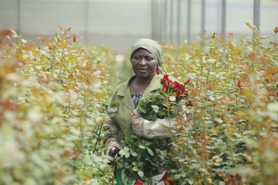 East Africa grows millions of flowers sold in UK – but workers ‘suffering’ to make it happen