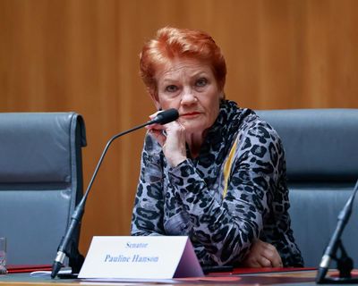 Pauline Hanson secured government solar rebate despite calling for subsidies to large-scale renewables to end