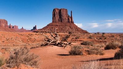 Arizona’s Housing Shift: Sun Corridor Prices Cool as Rent Levels Stabilize