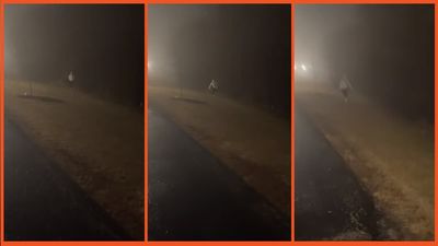 ‘I don’t know what it is’: Woman on late night dog walk notices figure standing in the bushes, then it starts running her way