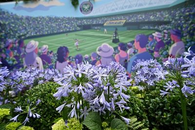 The Language of Vibration: Louis-Virie Blanche and the Emerging Science of Plant Resonance