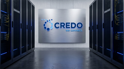Credo Technologies Hits Bottom: Now Is the Time to Buy