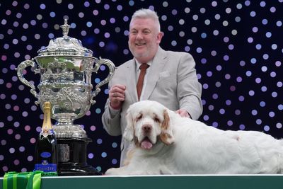 Handler of Crufts 2026 winner has previous conviction for animal cruelty
