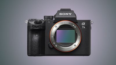 One sensor to rule them all: this model crowned Sony the Dark Lord of mirrorless camera sensors