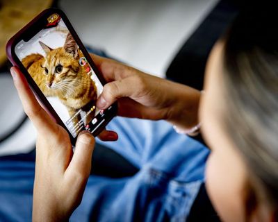 MPs reject ban on social media for under-16s