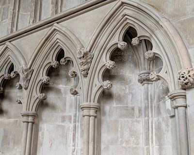 Country diary: Orchids, plums and pine cones – all bursting out of cathedral walls