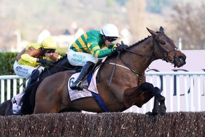 What races are happening at the Cheltenham Festival today?
