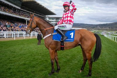 2026 Arkle Chase odds & betting guide