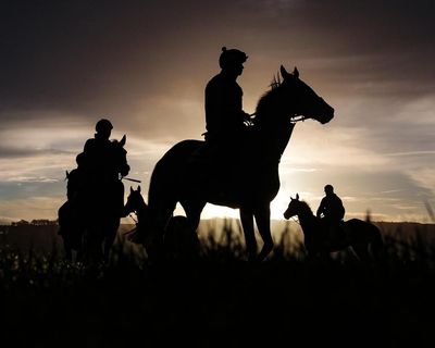 Cheltenham festival 2026: Lossiemouth leaves rivals in wake to win Champion Hurdle – as it happened