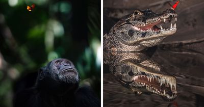 58 Powerful Wildlife Photos That Capture Nature’s Beauty, Drama, And Fragility