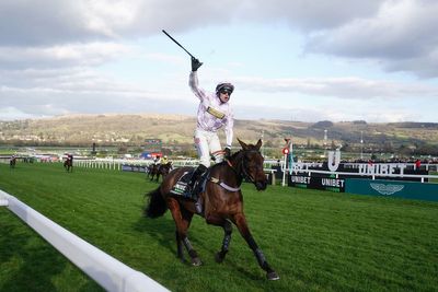 Champion Hurdle odds: Latest prices & betting guide