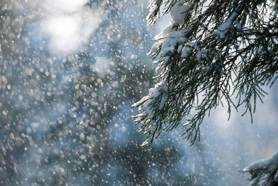 Snow showers expected in parts of the UK during ‘brief cooler spell’