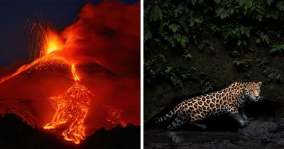 18 Breathtaking Photos That Won Awards At The HIPA “Power” Competition