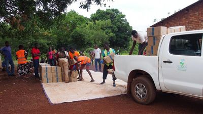 Fears grow for French aid worker arrested in Central African Republic