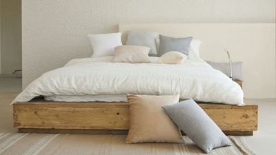 What bed base do I need for my mattress? 5 beds to consider for an upgraded sleep set-up