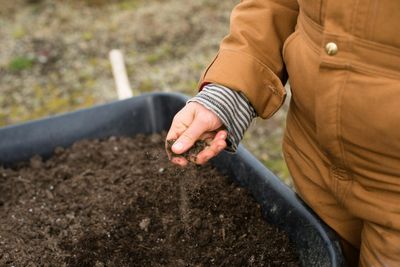 Low-Cost Ways to Improve Sandy Soil