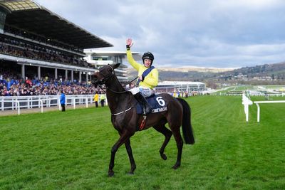 2026 Queen Mother Champion Chase Odds & Betting Guide