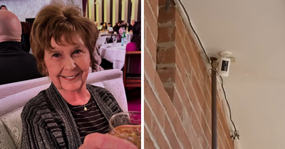 FBI Analysis Of Nancy Guthrie Case Reveals Six Theories And A Disturbing New Lead Now Being Pursued