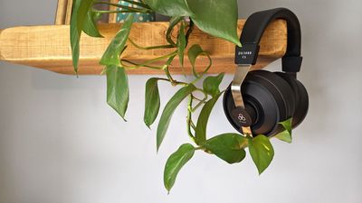 These headphones give new meaning to the word 'cushy'