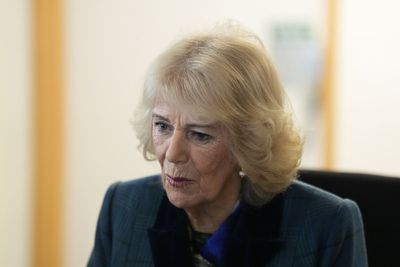 Queen Camilla praises new book helping children understand WWII