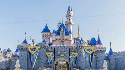 A Hazmat Situation Unfolded At Disneyland, And Several Cast Members Were Affected