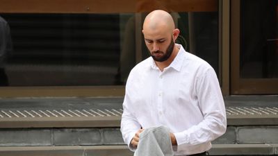 Ex-Big Bash player to change child abuse plea: lawyer