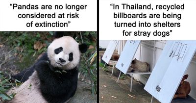 77 Good News For Those Who Gave Up On The World