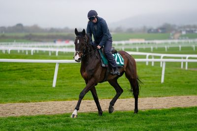 What’s happening at the Cheltenham Festival today?