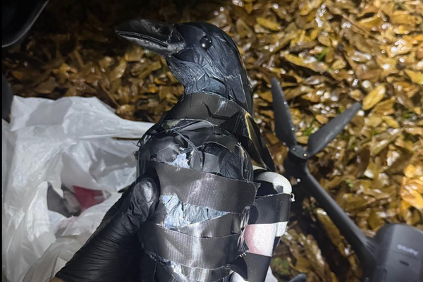 Texas women tried to fly meth into prison yard using drone disguised as a crow