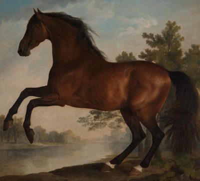Stubbs: Portrait of a Horse review – this magnificent nag deserves a longer canter