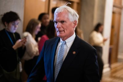 Vote studies: Participation up in 2025 despite notable absences