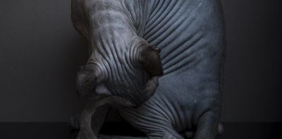 AI doesn’t ‘see’ the way that you do, and that could be a problem when it categorizes objects and scenes