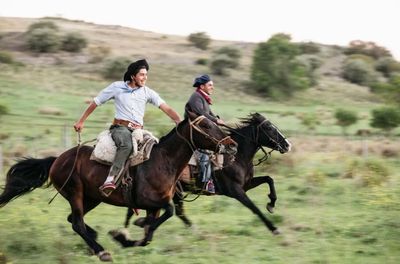 From the Galapagos to Greenland, seven itineraries that promise the holiday of a lifetime