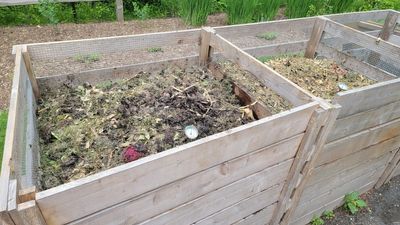 Why Some Compost Smells in Spring