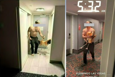 Canadian tourist accused of stealing flamingo from Las Vegas hotel told to remain in city but to stay off the Strip
