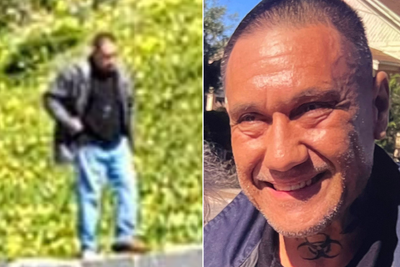 Brother of WWE star goes missing in California after walking away from car crash