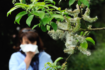 Allergy season is arriving early for some – here’s what your nose can expect this year