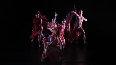 From Bangarra and Aust ballet grow seeds of a new dance